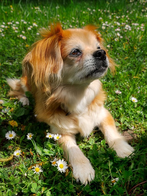 Isaac Gee tweet media