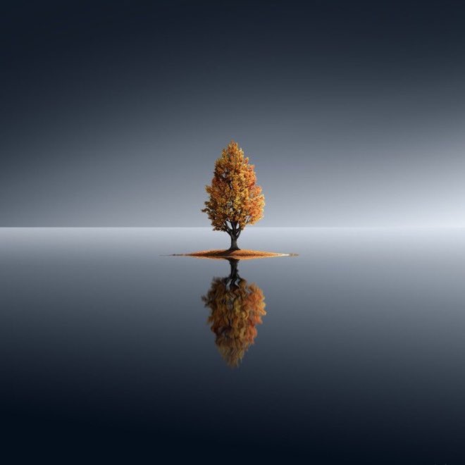 Rose🌸 tweet media