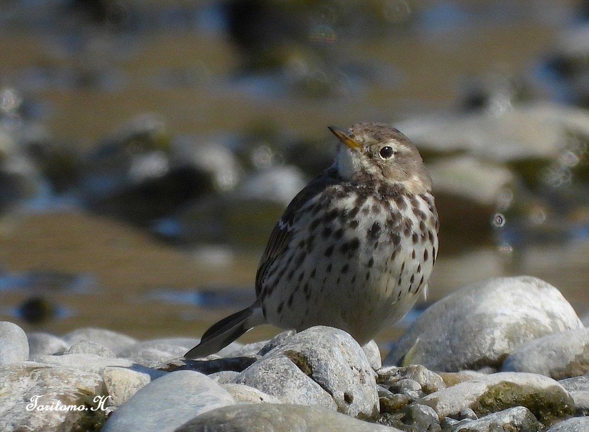 氏原巨雄 Osao Ujihara tweet media