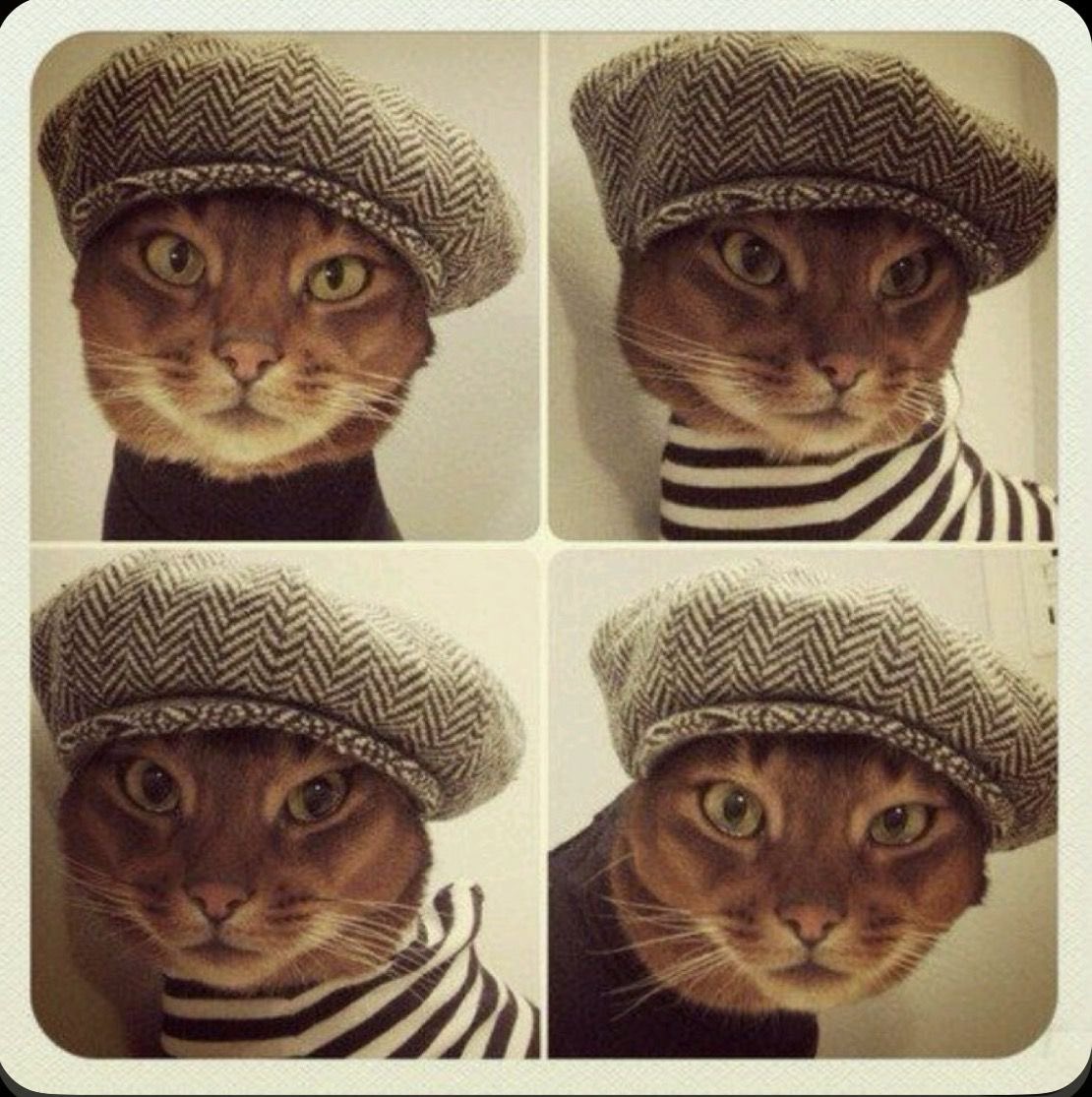 vivienne westwoody tweet media