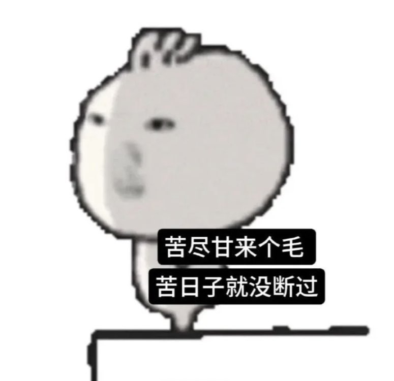 柯基汉堡🍔 tweet media