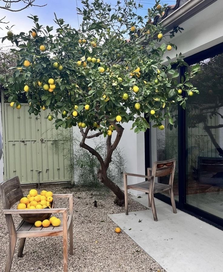 JavierCG tweet media