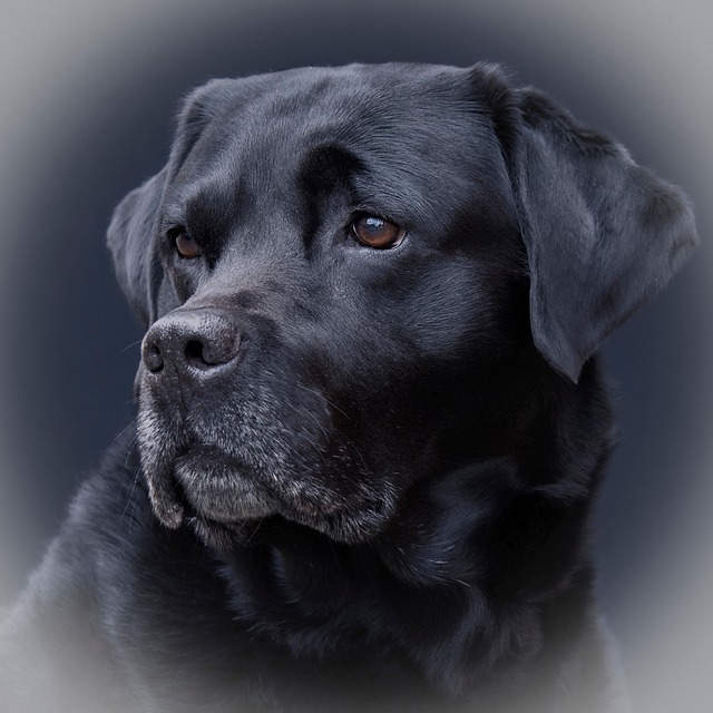 Samuel Suge tweet media