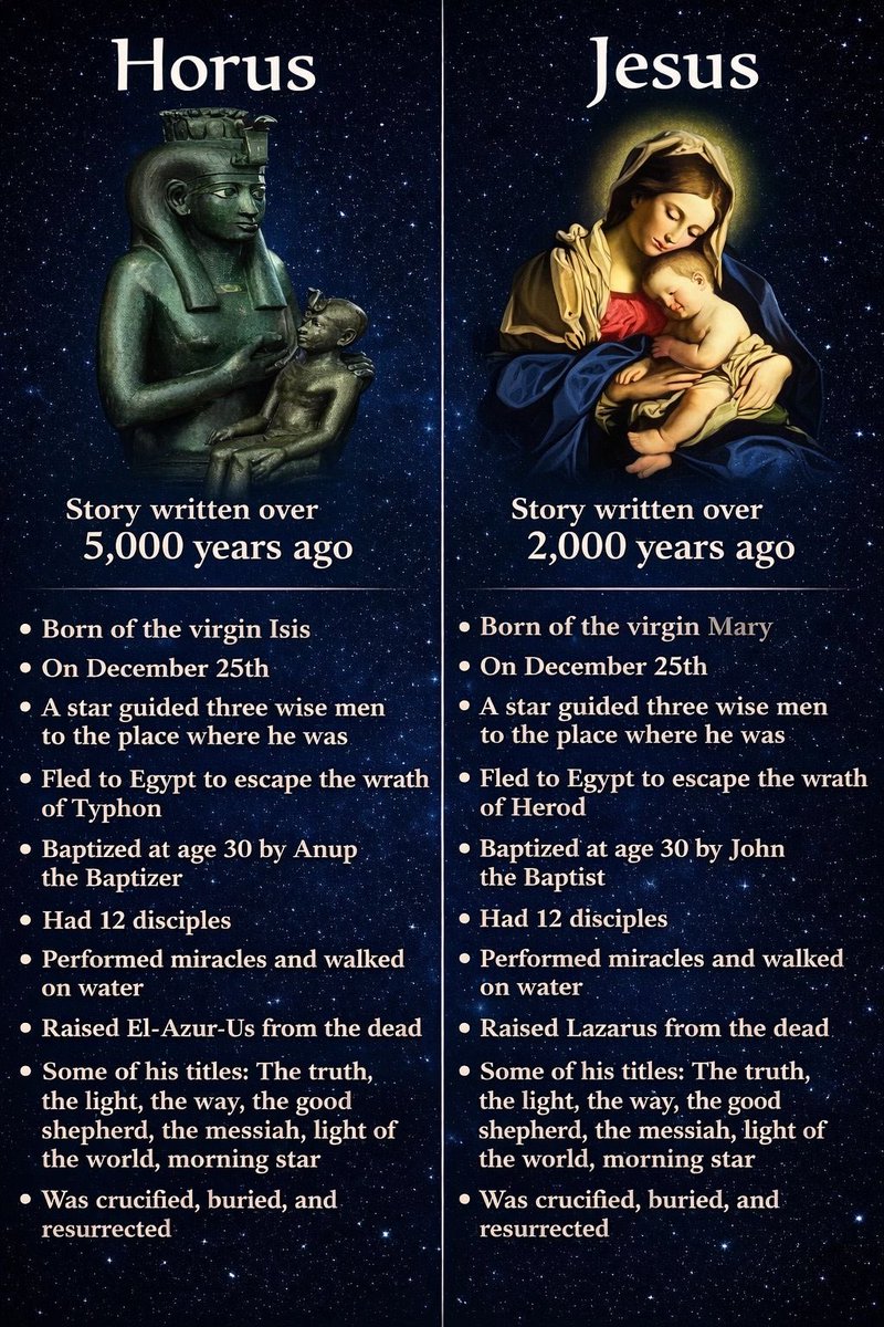 🧬Maxpein🧬 tweet media