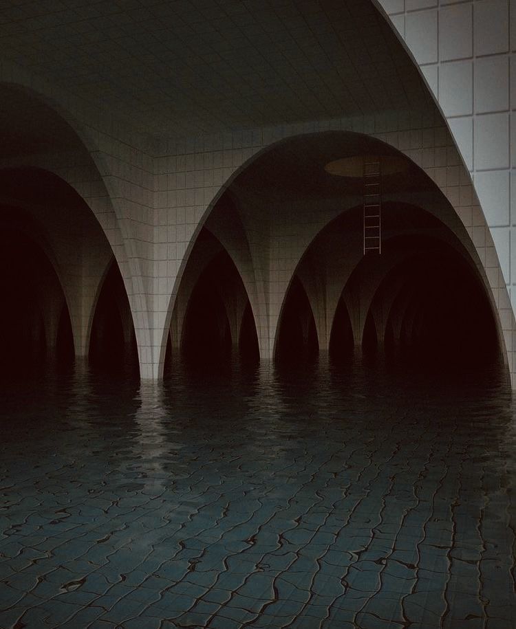 Liminal Dreams tweet media