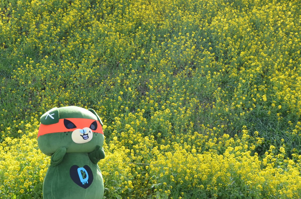 みきゃん【公式】《愛媛県イメージアップキャラクター》 tweet media