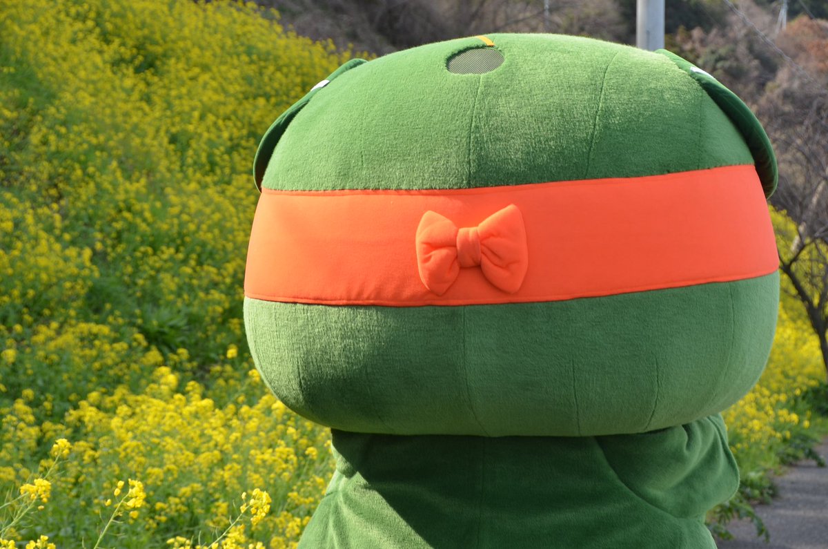 みきゃん【公式】《愛媛県イメージアップキャラクター》 tweet media