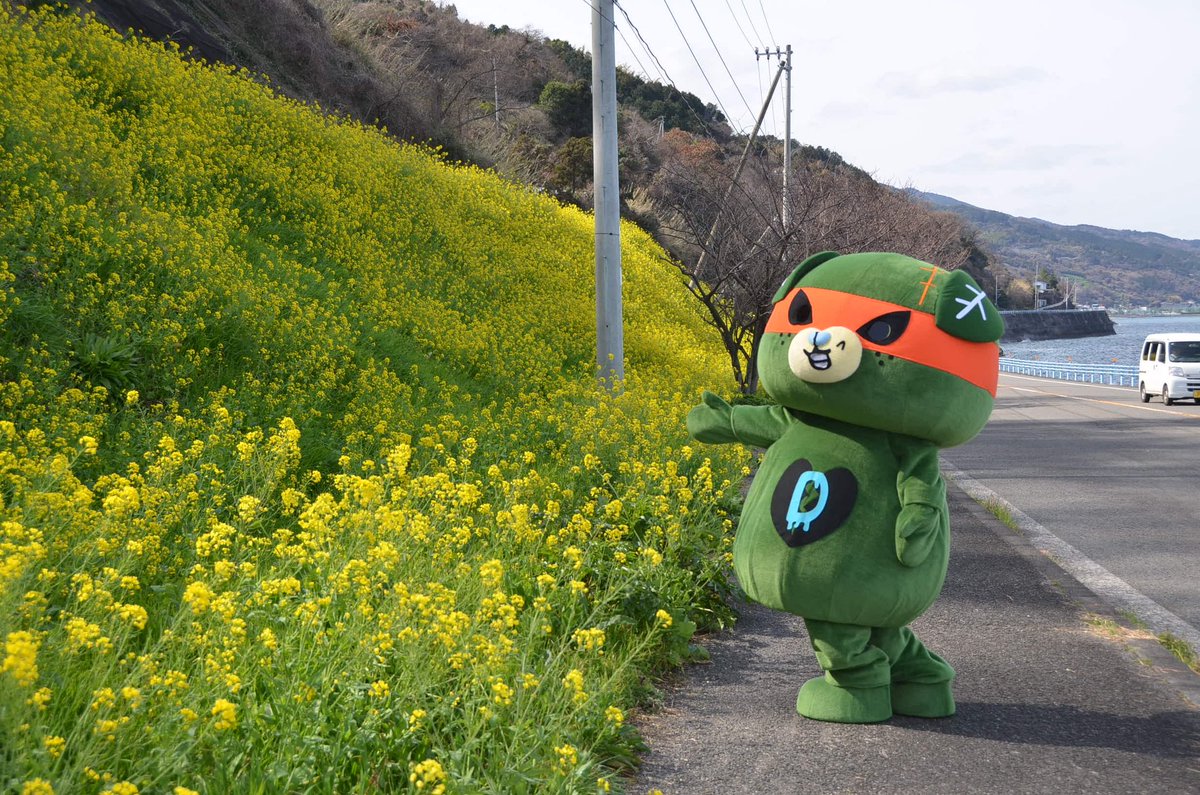 みきゃん【公式】《愛媛県イメージアップキャラクター》 tweet media