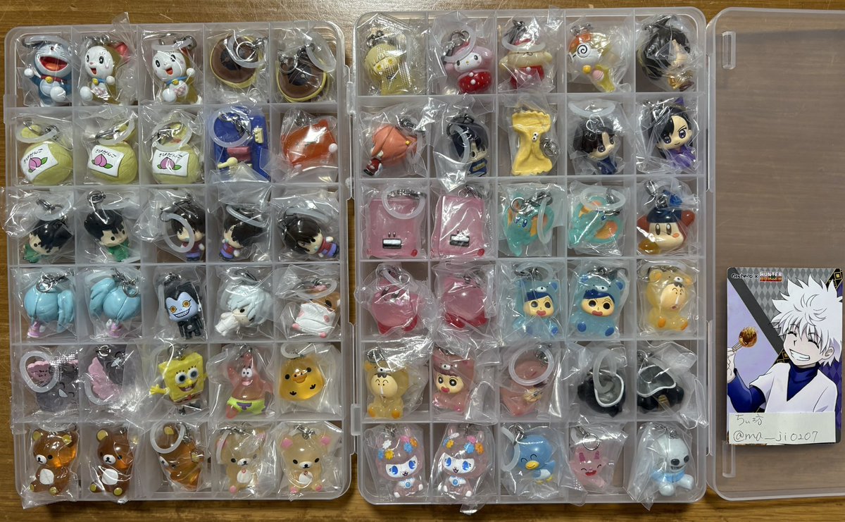 ちぃ坊 tweet media