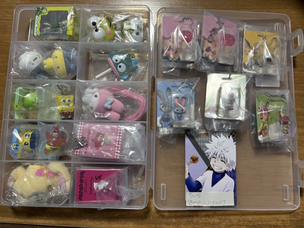 ちぃ坊 tweet media