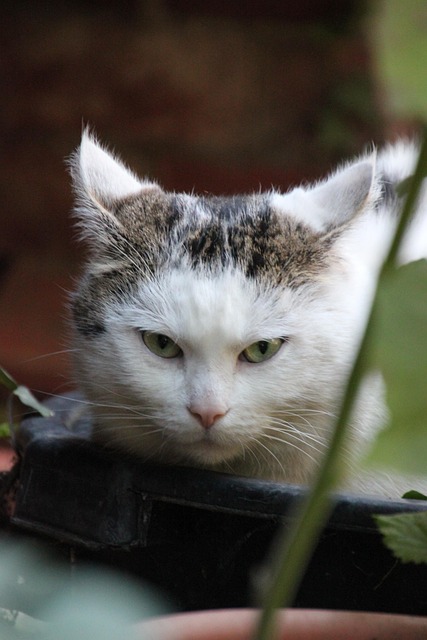 Daniel Orton tweet media