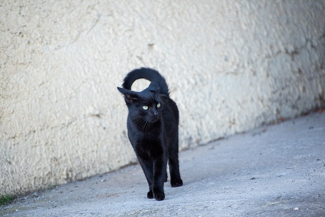 Darby Sperling tweet media