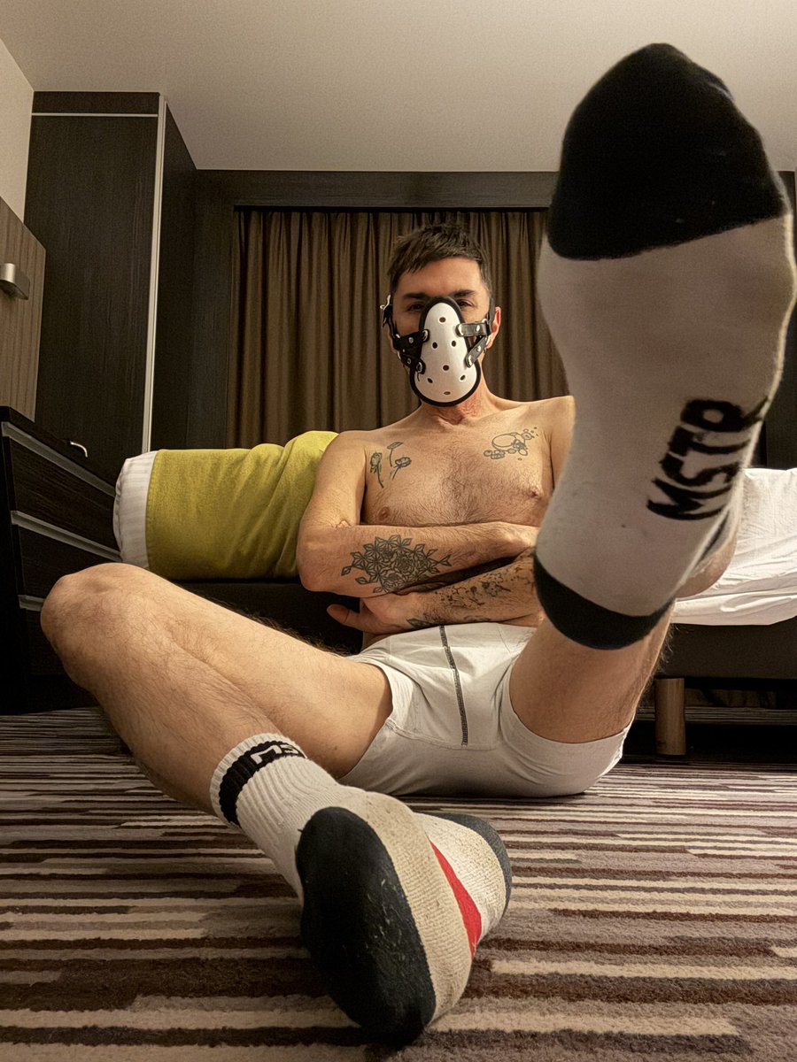 Maitre Louis tweet media