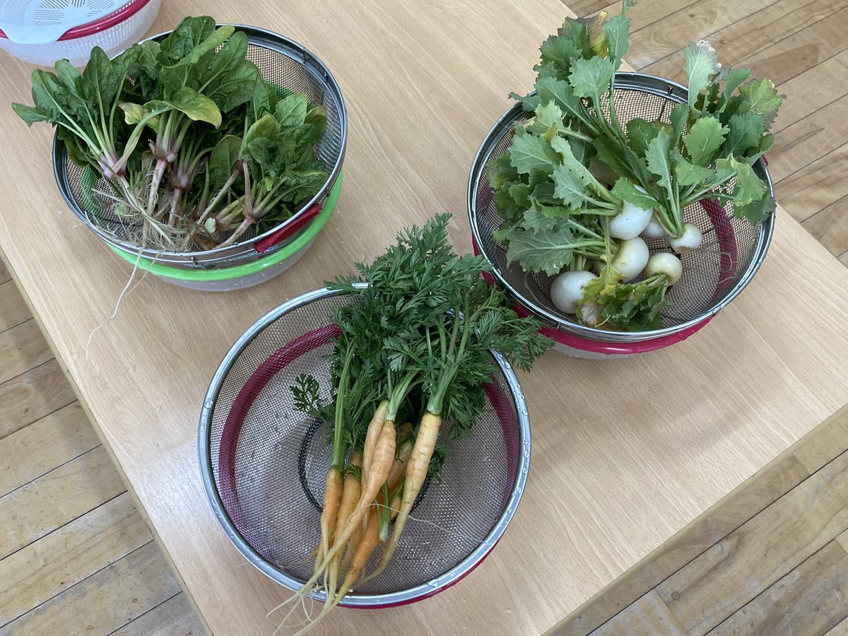 honmurakg's tweet photo. 3月12日 〈お別れパーティー🎉〉　
朝収穫した新鮮な野菜を自分達でカットしてスープにします。パーティーでは、ダンスや○✖️ゲームを楽しみ、プレゼントを贈り合いました。
みんな揃っての会食。塩おむすび、唐揚げ、そして野菜スープ。美味しかったですね。 https://t.co/kp6covNa7C
