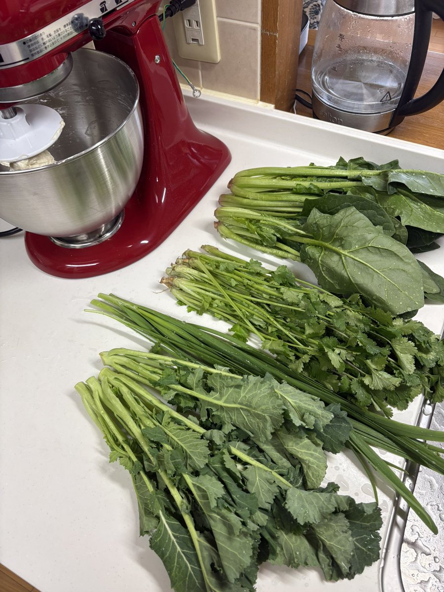 今日のイフタールにギョズレメGözlemeを作る予定🍀