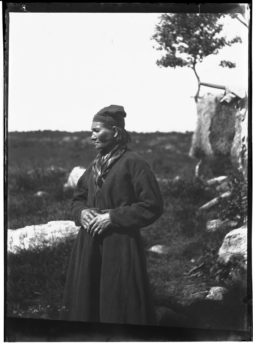 Undiscovered History tweet media