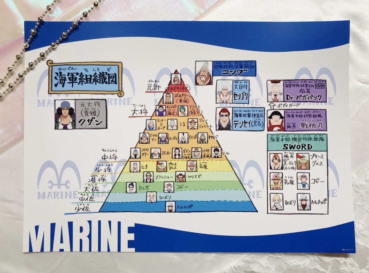 ONE PIECE ワンピース海軍組織図カードセット 32種類コンプリートセット ONE PIECE ワンピース海軍組織図カードセット 32種類コンプリート