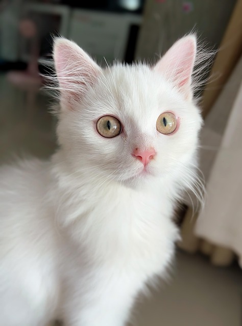 David Moran tweet media