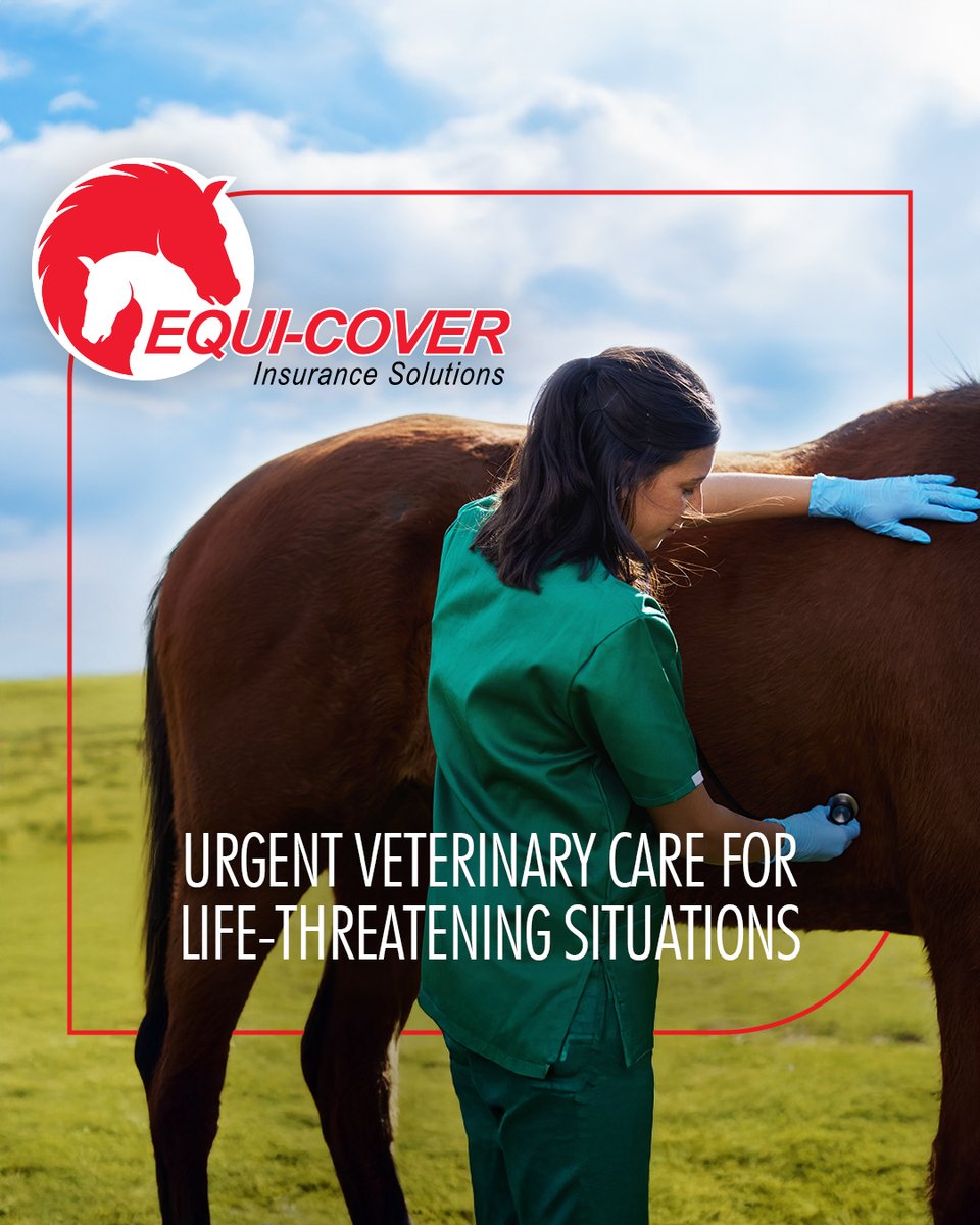 EquiCover's tweet photo. In critical moments, having the right cover matters. Our urgent veterinary care cover  is designed to support immediate intervention in life-threatening situations, helping you act quickly when it counts most.

For more info visit https://t.co/LyAEWqBtkY

#horseinsurance https://t.co/IyJsqZkmLD