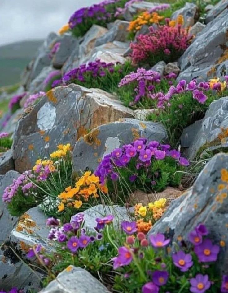 Bitmeyecek kış, 
Gelmeyecek bahar yoktur... 
Sen yeter ki sis'in pus'un geçeceğini bilip, 
Açacak çiçeğin güzelliğini görmeyi bekle.. 
Yorulduğunda, 
Tükendiğinde,
o çiçeğin bir yerlerde zamanını 
beklediğini hatırla...
Bella Cıao