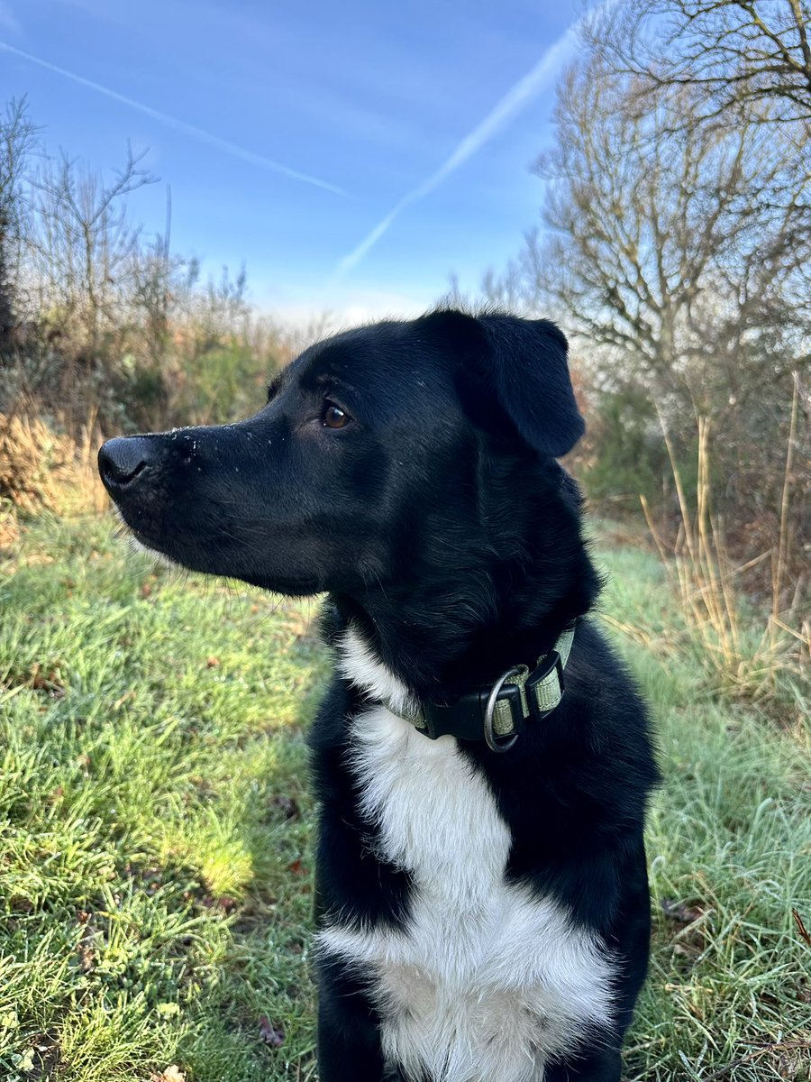 Eric BERLIVET 🇫🇷 tweet media