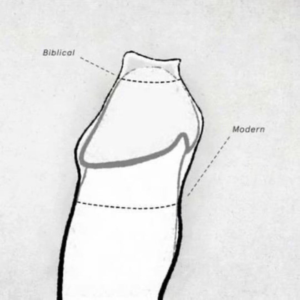 CCityBNation tweet media