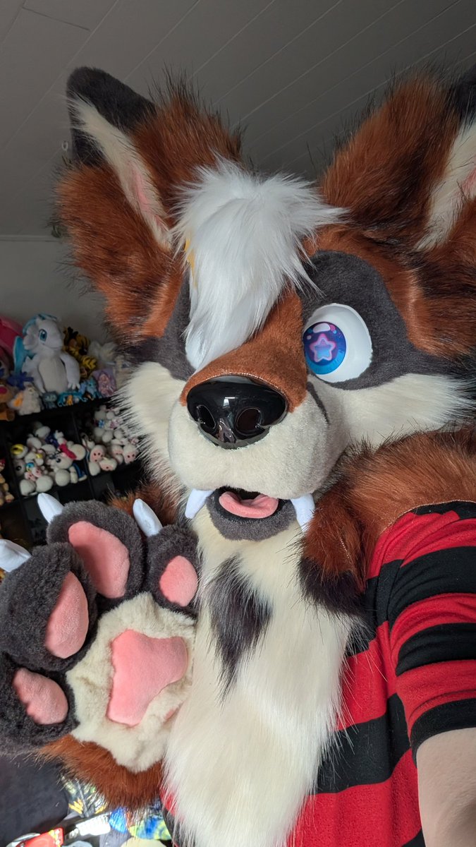 Ferox ✨ 🔜 EAST tweet media