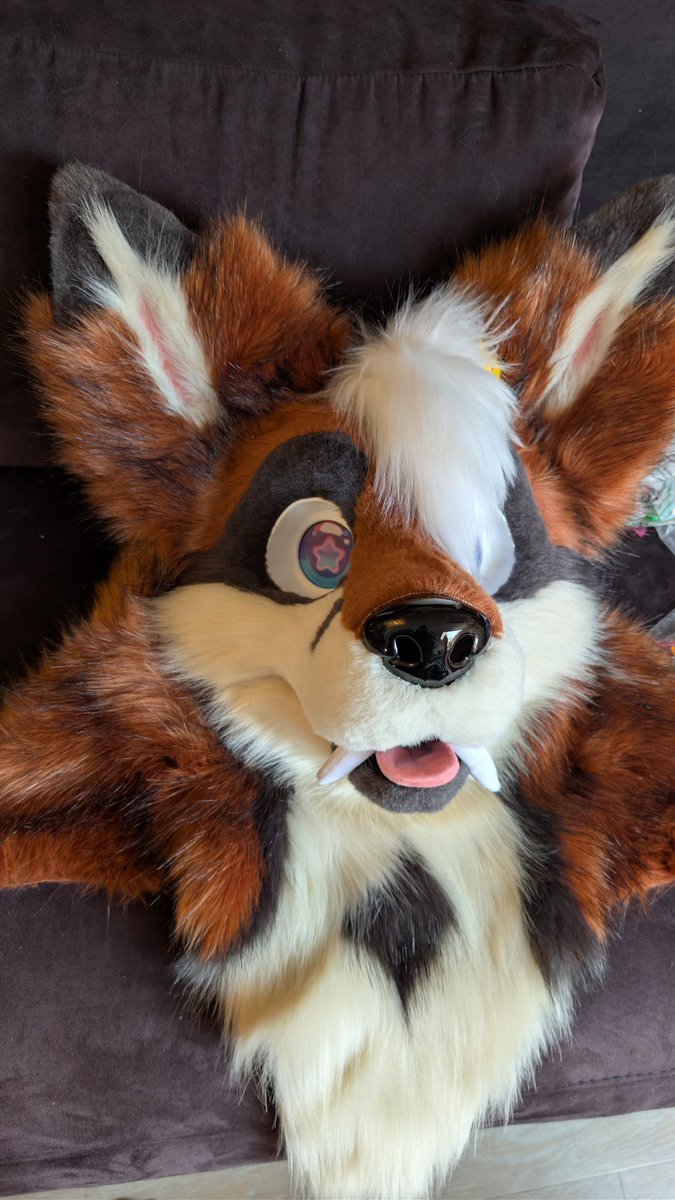 Ferox ✨ 🔜 EAST tweet media