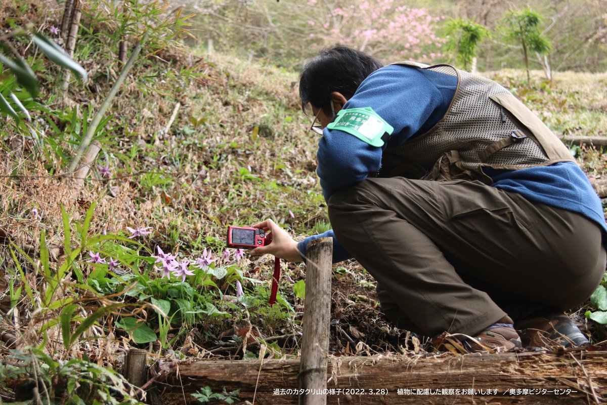 奥多摩でも続々と花が咲きはじめました！
早春の草花はどれも小さい！
近くで見ようとすると、じつは足元で植物を踏んでいるということも。
少し距離があるときは、双眼鏡や写真のズーム機能を使い、自然に優しい行動を心がけたいですね。
#ビジターセンターに聞いてみよう
feelnatureintokyo.ces-net.jp/rules/