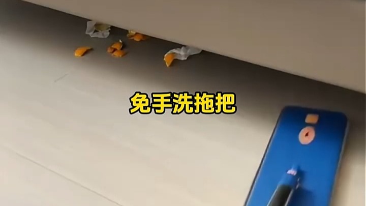 刚拖完的地板反光像镜子，脚边突然窜过一只踩湿爪印的猫——“杰作”诞生