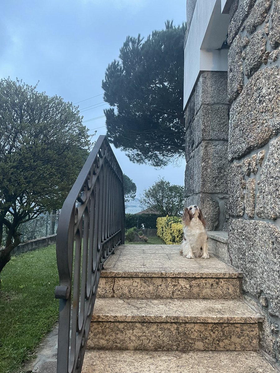 Mike 💙💛 tweet media