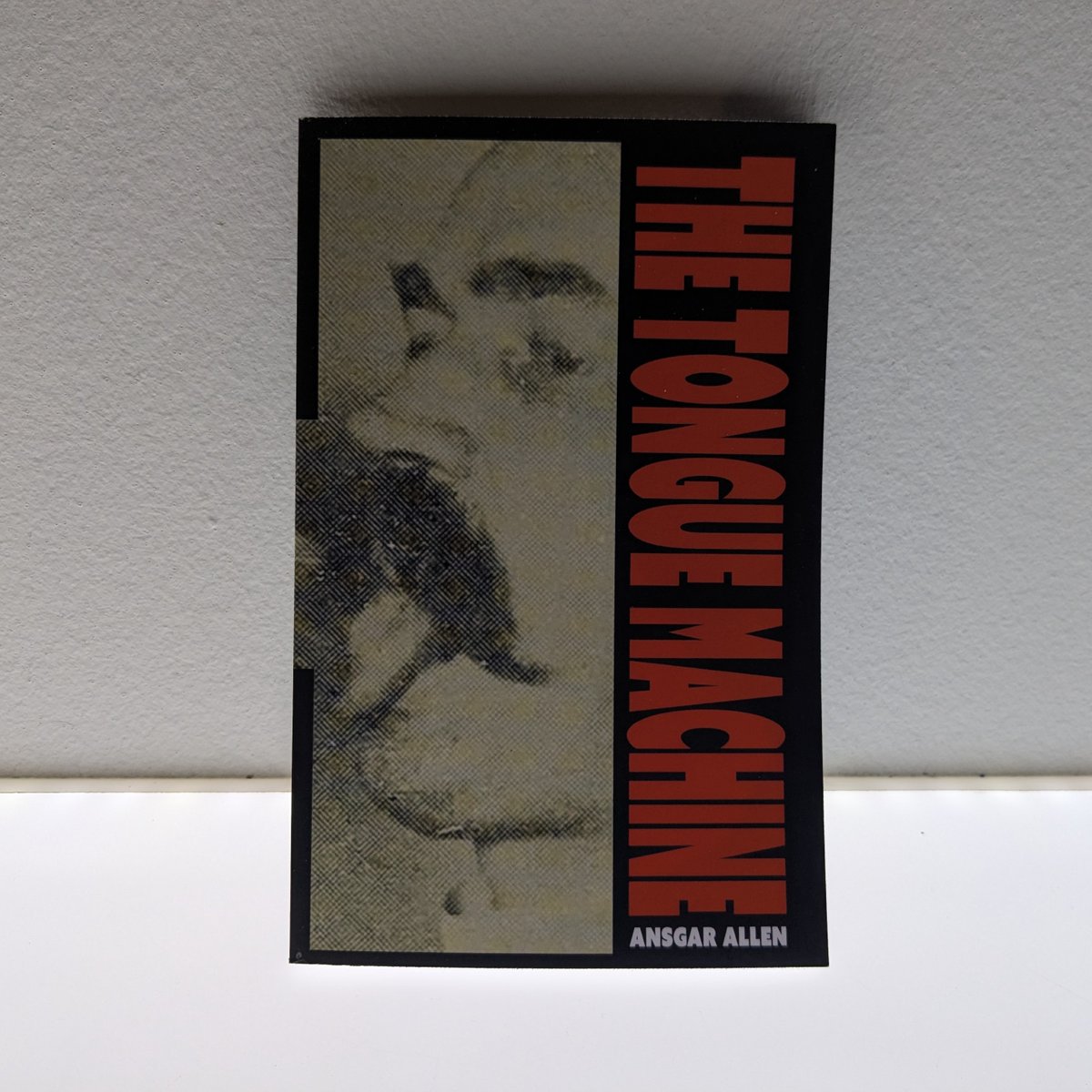 Ansgar Allen tweet media