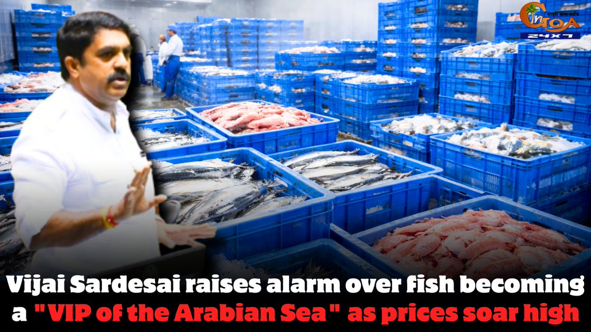 InGoa24x7's tweet photo. .@VijaiSardesai raises alarm over fish becoming a "VIP of the Arabian Sea" as prices soar high          
WATCH : https://t.co/c7nJvvPjV6

#Goa #GoaNews #FishPrices #High https://t.co/masCcEersb