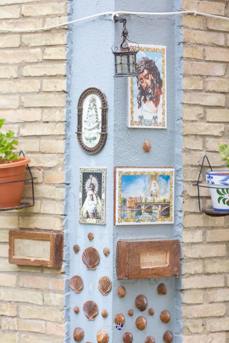 JuanjoVelaFotografia tweet media