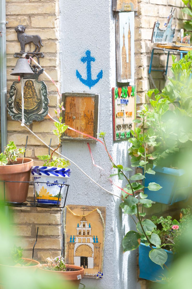 JuanjoVelaFotografia tweet media