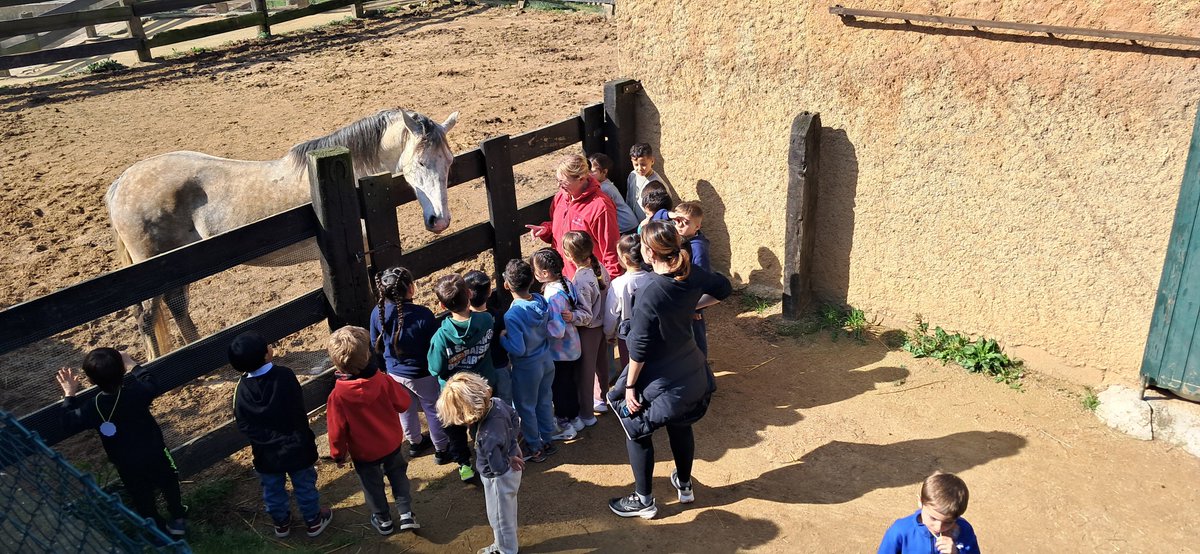 escolaelshorts's tweet photo. Els nens i nenes d'infantil visiten la granja de #CanMontcau. Conillets, gallines, paons, cavalls, cabretes...i taller de coca de vidre!!
#descoberta
#medinatural
#animalsdegranja
#cuina
#compartim
#airelliure https://t.co/tMnERvSqQM