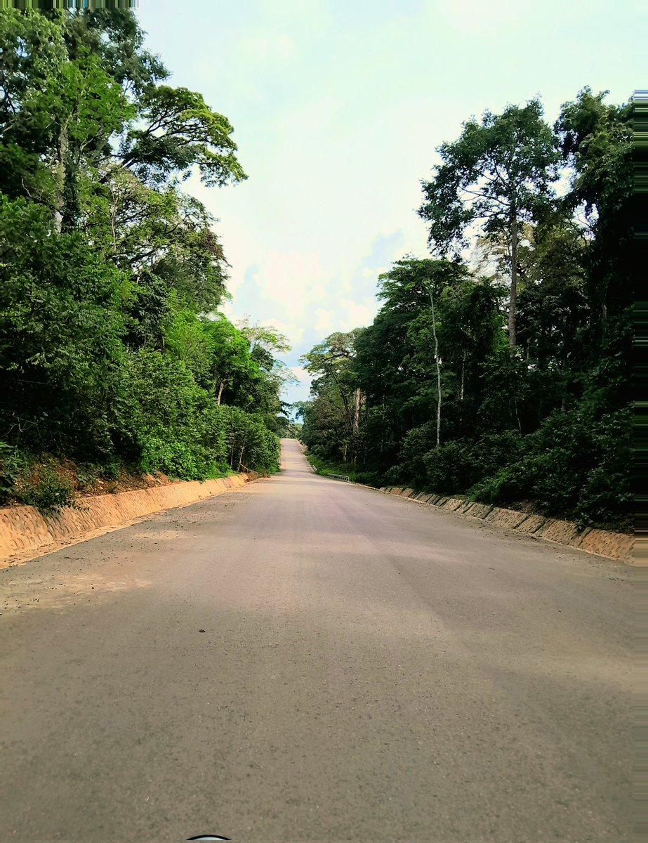 Real Osa tweet media