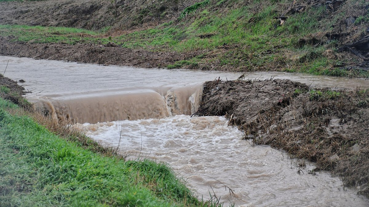 Som Segarra tweet media