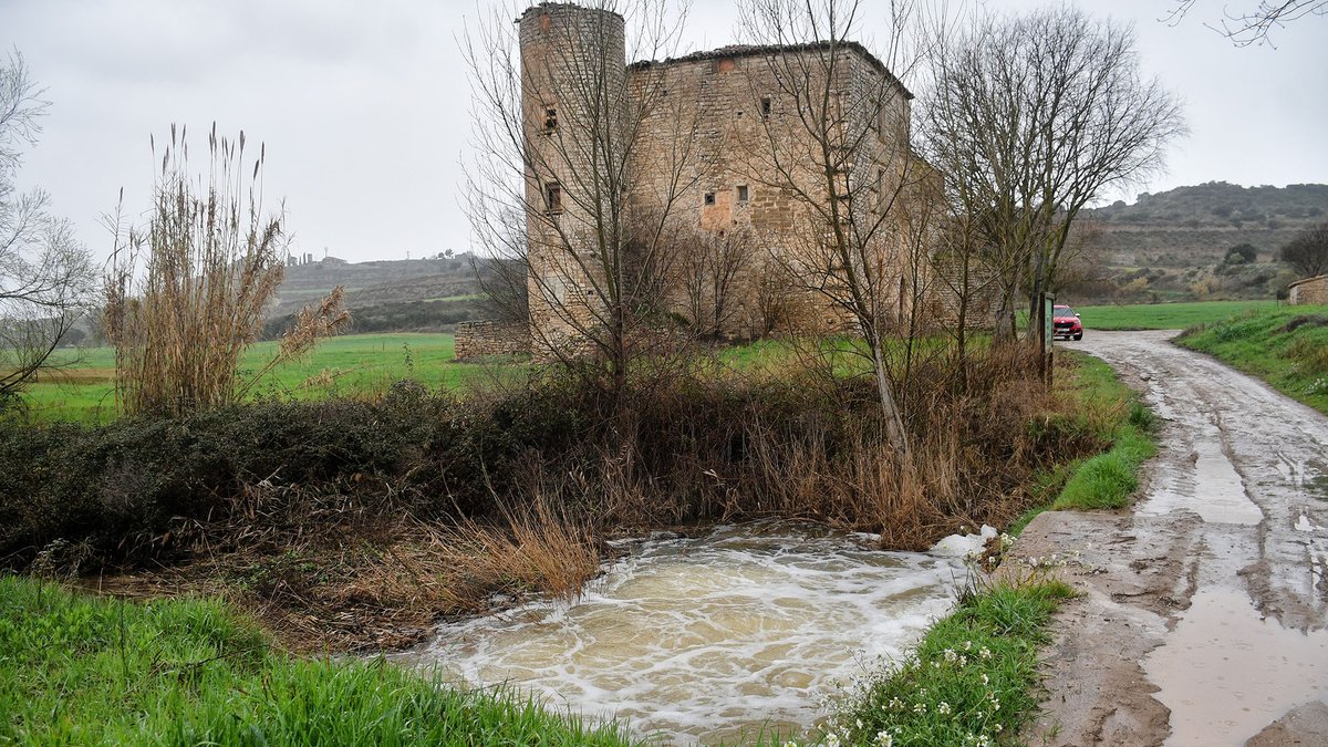 Som Segarra tweet media