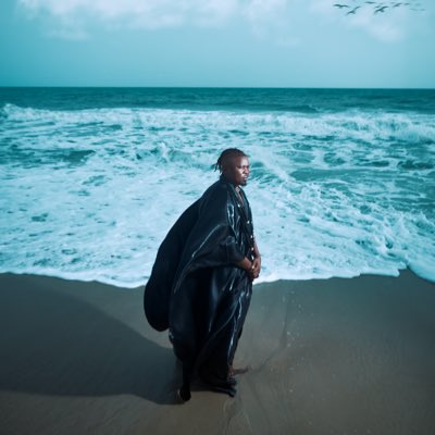 Oga Network tweet media