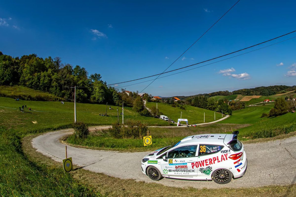 Taylor Gill tweet media