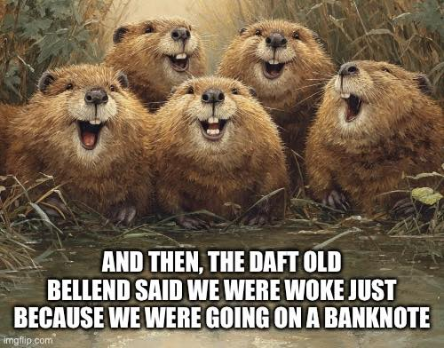 dave lawrence 🐟🐟🐠 tweet media