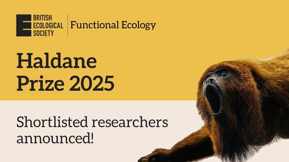 Functional Ecology tweet media