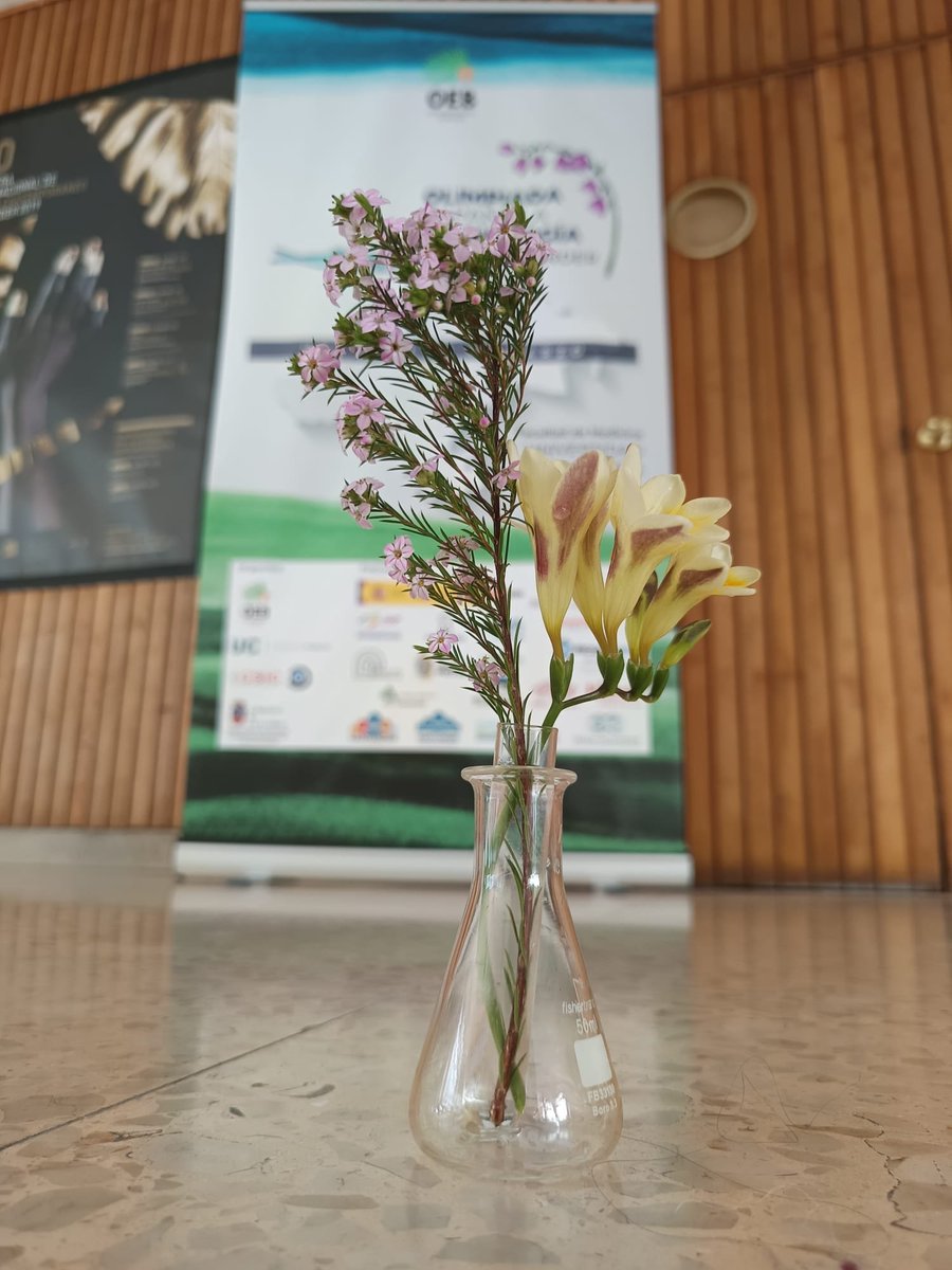 LaMicroMola tweet media