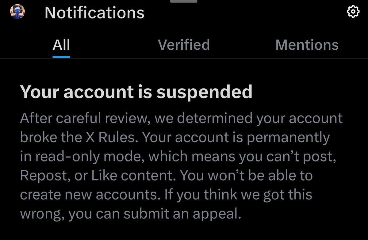 SpinelMay tweet media