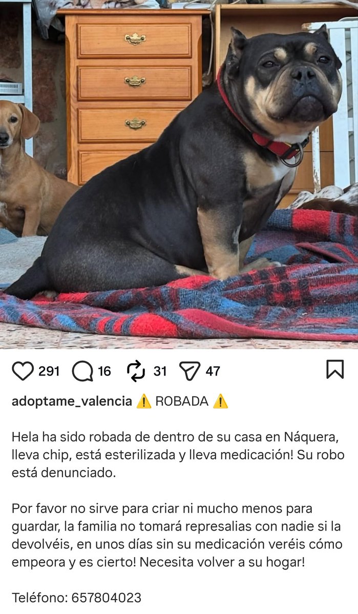 🐸 PePiTA GrILLa🐸 tweet media