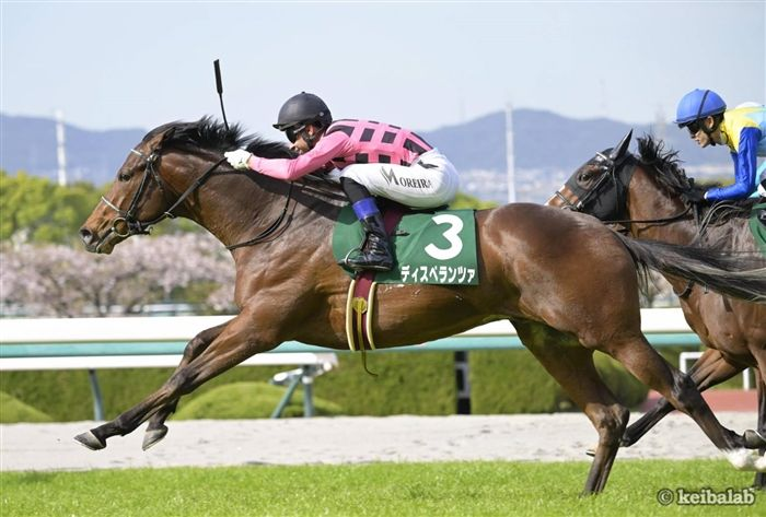 keibalab's tweet photo. 【遥かな幸せを夢に描く】
土曜の阪神5R・3歳未勝利では、キズナ産駒の牝馬、エンネがデビュー。共同通信杯を勝ったファントムシーフ、アーリントンCを勝ったディスペランツァの妹にあたる良血馬です。

馬名意味はフィンランド語で"縁"
#エンネ #坂井瑠星
https://t.co/KwGe4taHQD https://t.co/CkLOnB7UPa