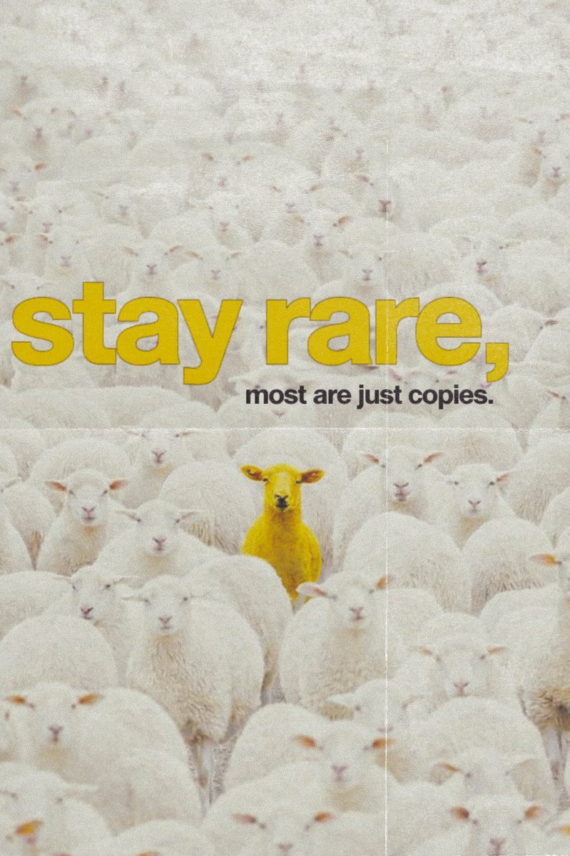 Diana 🔶 tweet media