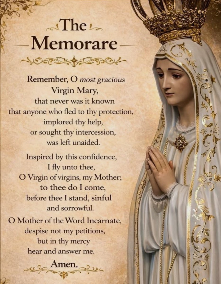 Catholic Life (@prayandfast2) on Twitter photo 