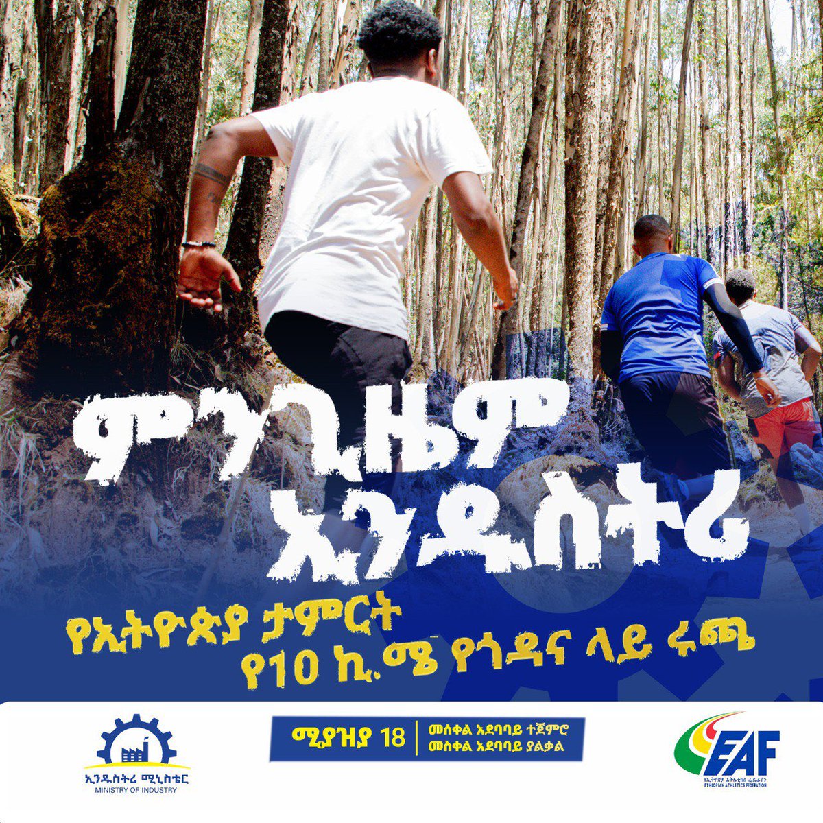 Ethiopian Athletics tweet media